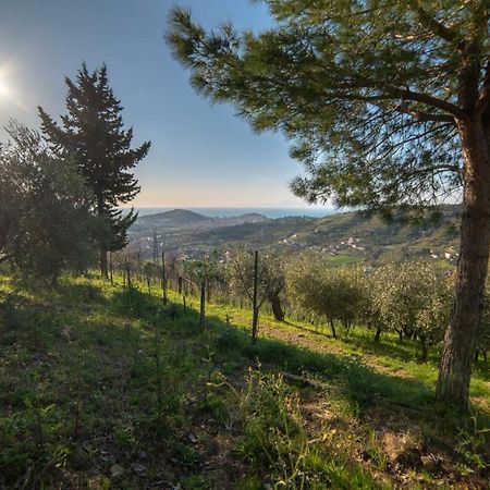 Villa Pandora Agropoli Eksteriør bilde