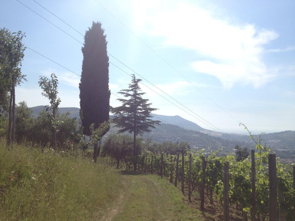 Villa Pandora Agropoli Rom bilde
